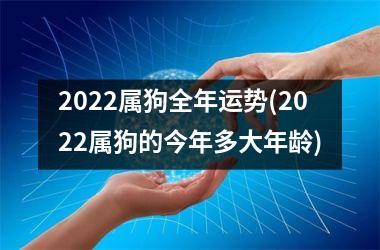 <h3>2025属狗全年运势(2025属狗的今年多大年龄)
