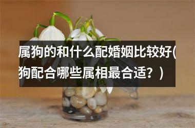 属狗的和什么配婚姻比较好(狗配合哪些属相合适？)