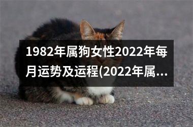 1982年属狗女性2025年每月运势及运程(2025年属狗女性每月运势解析)