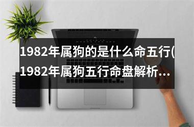 <h3>1982年属狗的是什么命五行(1982年属狗五行命盘解析)