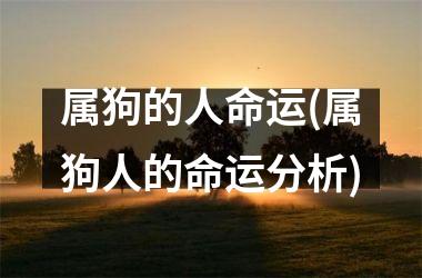 属狗的人命运(属狗人的命运分析)