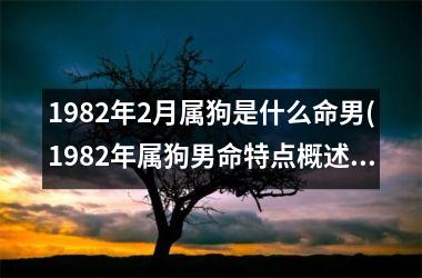 1982年2月属狗是什么命男(1982年属狗男命特点概述)