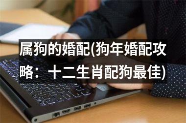 属狗的婚配(狗年婚配攻略：十二生肖配狗佳)