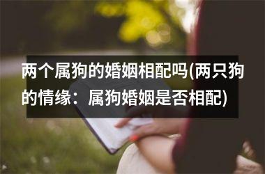 两个属狗的婚姻相配吗(两只狗的情缘：属狗婚姻是否相配)