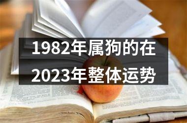 1982年属狗的在2025年整体运势