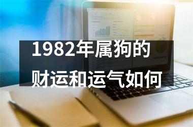 <h3>1982年属狗的财运和运气如何