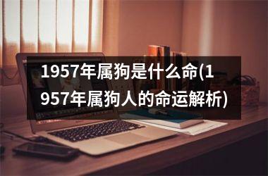 1957年属狗是什么命(1957年属狗人的命运解析)