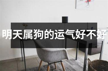 <h3>明天属狗的运气好不好