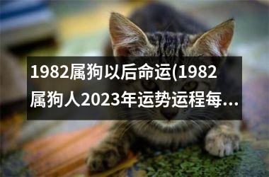 <h3>1982属狗以后命运(1982属狗人2025年运势运程每月运程)