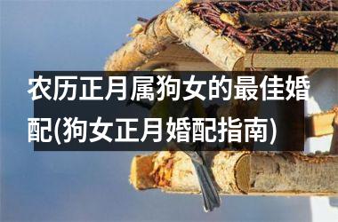 <h3>农历正月属狗女的最佳婚配(狗女正月婚配指南)