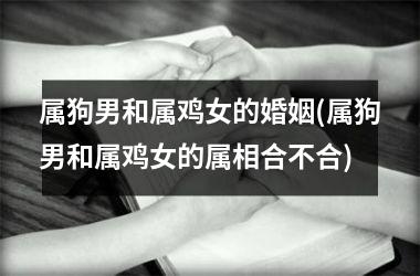 <h3>属狗男和属鸡女的婚姻(属狗男和属鸡女的属相合不合)