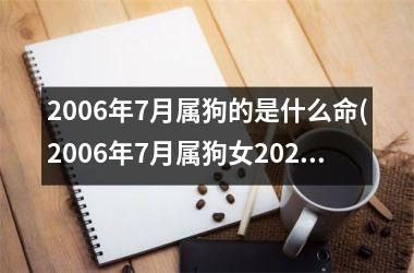 2006年7月属狗的是什么命(2006年7月属狗女2023运势)