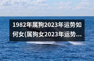 1982年属狗2023年运势如何女(属狗女2023年运势如何)