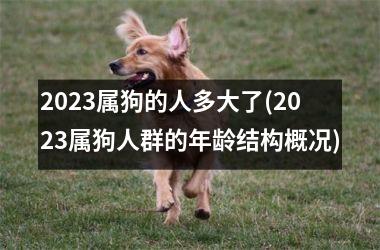 2023属狗的人多大了(2023属狗人群的年龄结构概况)
