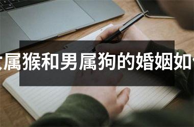 <h3>女属猴和男属狗的婚姻如何