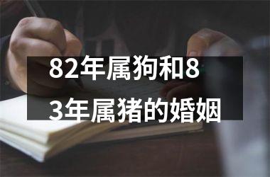 <h3>82年属狗和83年属猪的婚姻