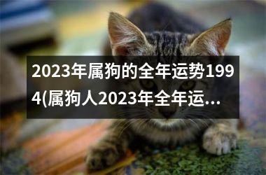 2023年属狗的全年运势1994(属狗人2023年全年运势大揭秘)