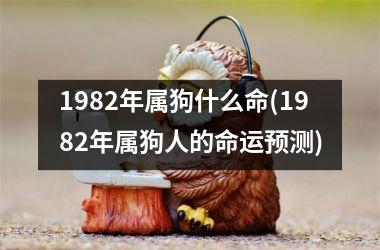 1982年属狗什么命(1982年属狗人的命运预测)