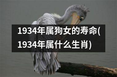 1934年属狗女的寿命(1934年属什么生肖)