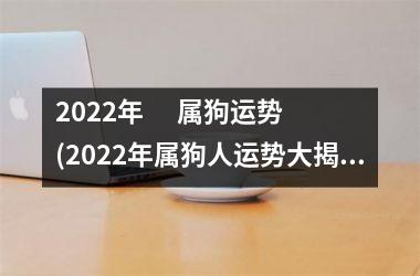 2022年      属狗运势(2022年属狗人运势大揭秘！)