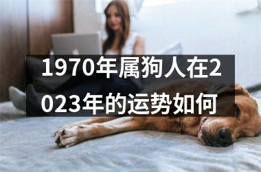 1970年属狗人在2023年的运势如何