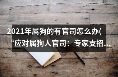 <h3>2025年属狗的有官司怎么办(“应对属狗人官司：专家支招2025”)
