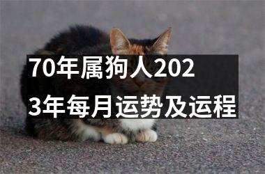 <h3>70年属狗人2025年每月运势及运程