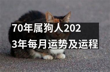 70年属狗人2023年每月运势及运程