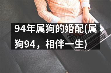 <h3>94年属狗的婚配(属狗94，相伴一生)