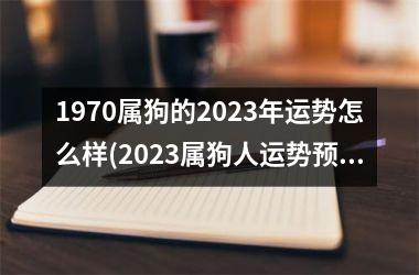 1970属狗的2023年运势怎么样(2023属狗人运势预测)