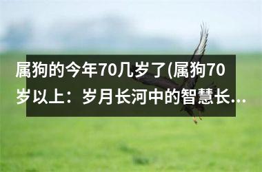 属狗的今年70几岁了(属狗70岁以上：岁月长河中的智慧长者)