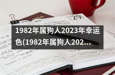 1982年属狗人2023年幸运色(1982年属狗人2023年运势女性)