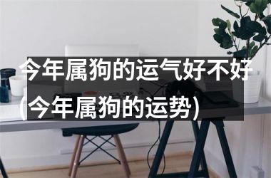 <h3>今年属狗的运气好不好(今年属狗的运势)