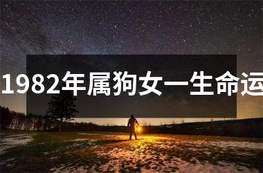 <h3>1982年属狗女一生命运
