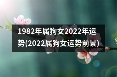 <h3>1982年属狗女2025年运势(2025属狗女运势前景)
