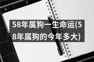 58年属狗一生命运(58年属狗的今年多大)