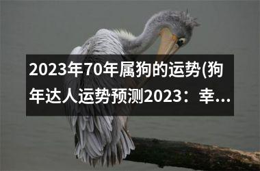 2023年70年属狗的运势(狗年达人运势预测2023：幸运之年即将到来)