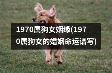 1970属狗女姻缘(1970属狗女的婚姻命运谱写)