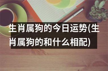 生肖属狗的今日运势(生肖属狗的和什么相配)