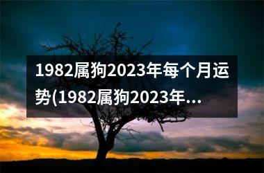 1982属狗2023年每个月运势(1982属狗2023年运势及运程每月运程)