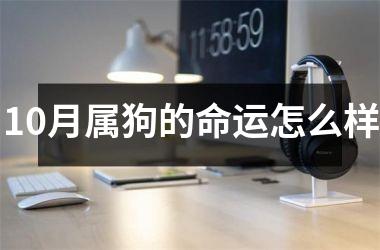 <h3>10月属狗的命运怎么样