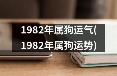 1982年属狗运气(1982年属狗运势)