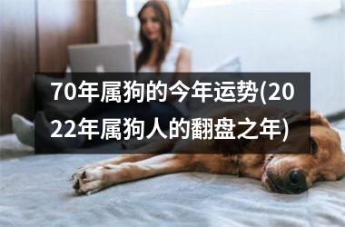 70年属狗的今年运势(2022年属狗人的翻盘之年)