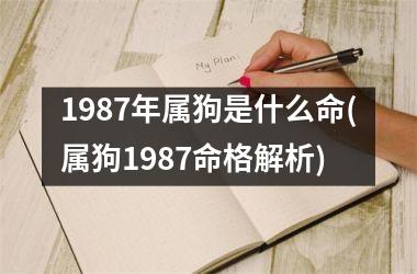 1987年属狗是什么命(属狗1987命格解析)