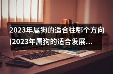 2023年属狗的适合往哪个方向(2023年属狗的适合发展哪些职业？)