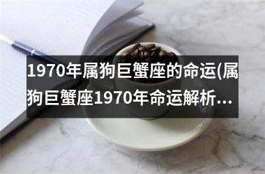 1970年属狗巨蟹座的命运(属狗巨蟹座1970年命运解析)