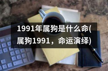 <h3>1991年属狗是什么命(属狗1991，命运演绎)