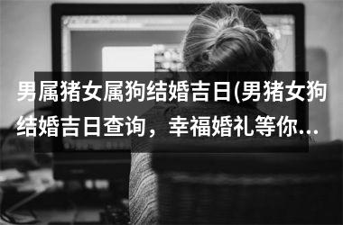 <h3>男属猪女属狗结婚吉日(男猪女狗结婚吉日查询，幸福婚礼等你来！)
