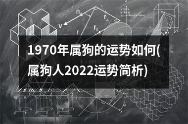 1970年属狗的运势如何(属狗人2025运势简析)