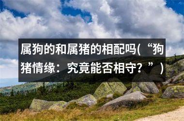 <h3>属狗的和属猪的相配吗(“狗猪情缘：究竟能否相守？”)